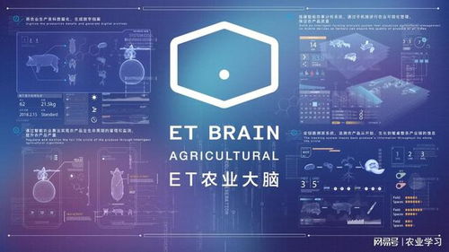 中国农业数字化技术员与智慧农业管理师研修班 驱动农业现代化转型的数字技术服务